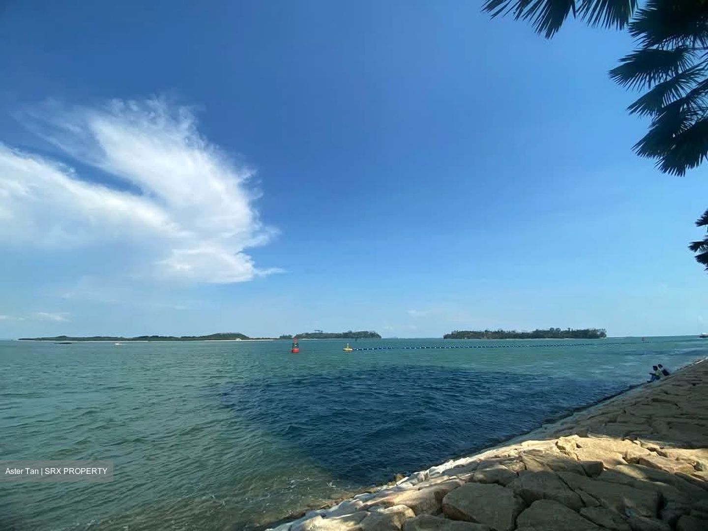 Cape Royale (D4), Condominium #533316571